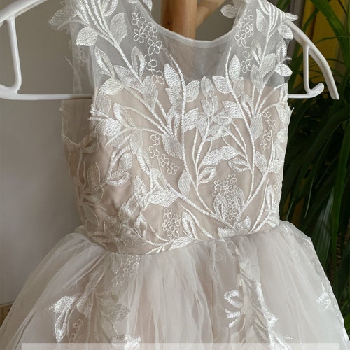 Blush Lace Flower Girl Dress with Tutu and Applique