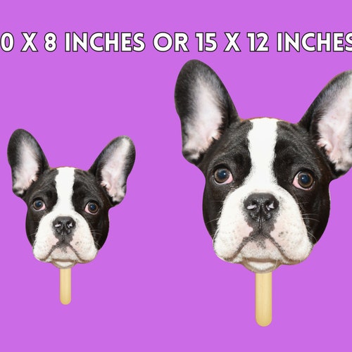 Custom Pet Face Big Heads on a Stick – Wedding & Event Props