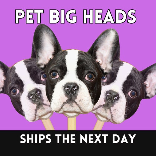 Custom Pet Face Big Heads on a Stick – Wedding & Event Props