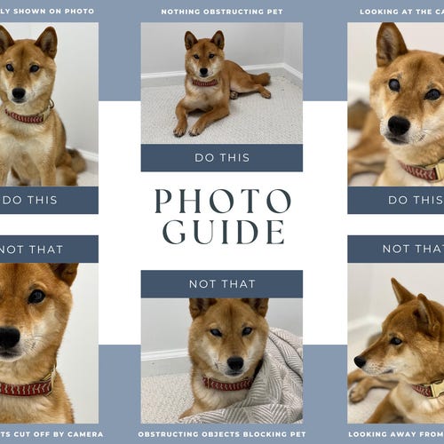 Custom Pet Cocktail Napkins for Weddings and Events