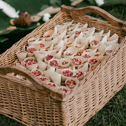 Biodegradable Flower Confetti with Paper Cones