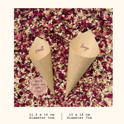 Biodegradable Flower Confetti with Paper Cones